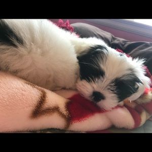 Meet your Posher, Alejandra